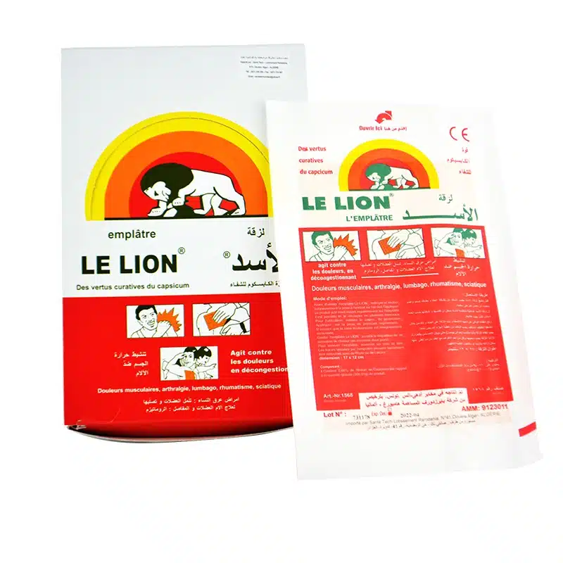 LE LION LEMPLATRE 10*7